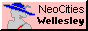 nc_well